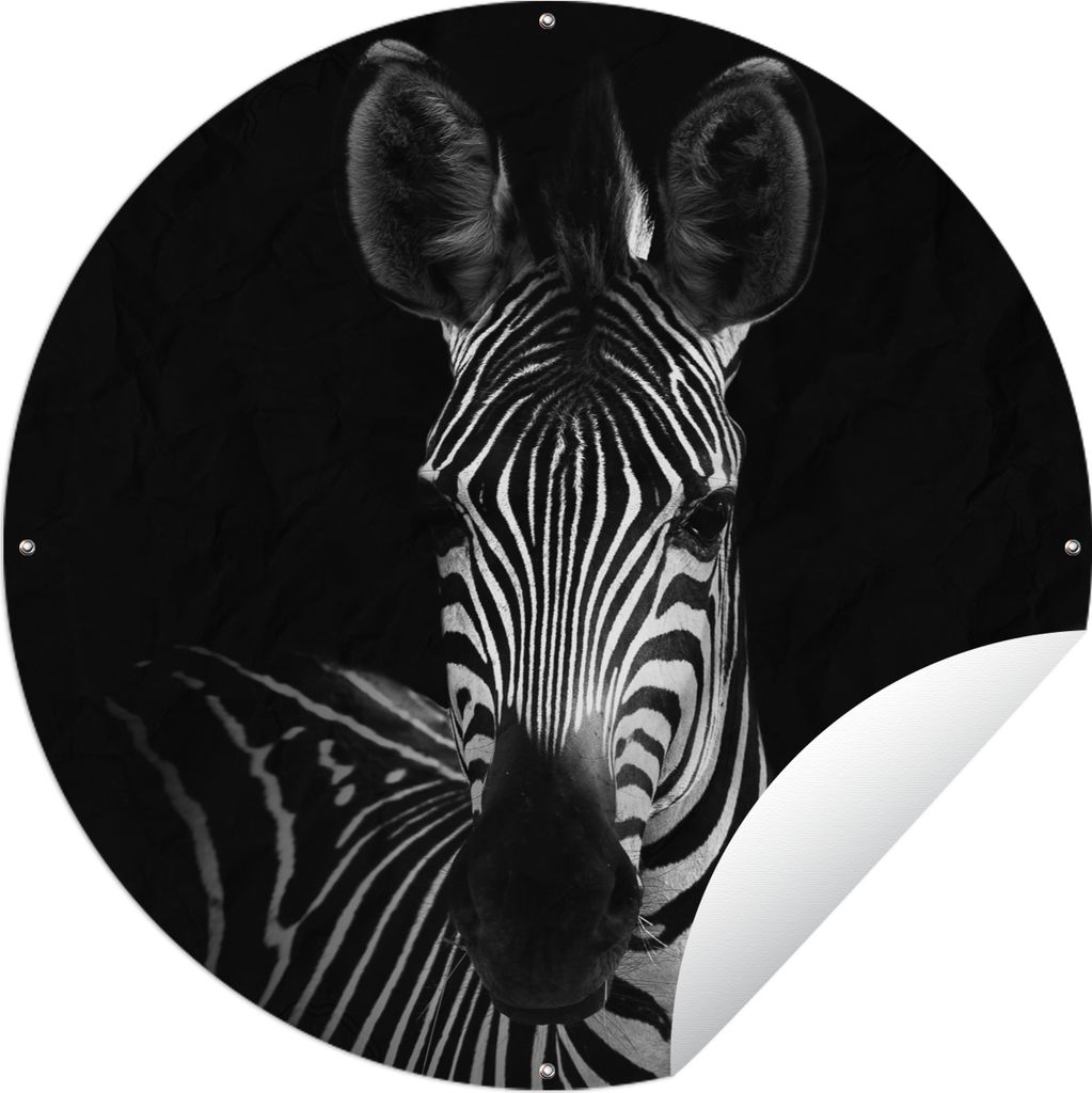 MuchoWow Gartenposter Outdoor-Poster Rund Zebra - Schwarz - Weiß - Tiere Ø 60 cm Gartendeko Rundes Poster draußen