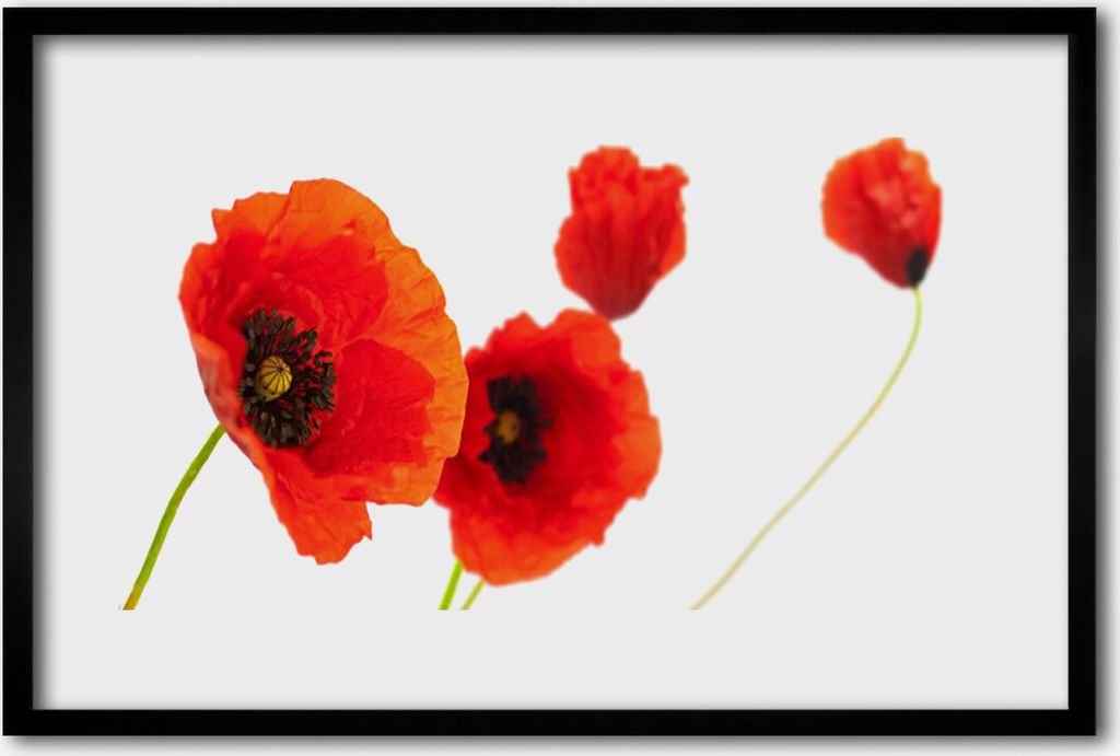 Bild 60x40 MDF-Rahmen Wandkunst Blumen Pflanzen