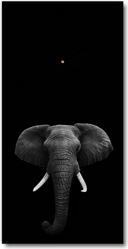 Wanduhr aus Glas – 30x60 cm - Glasbild - Glasuhr - Gehärtetes Glas -Afrikanischer Elefant