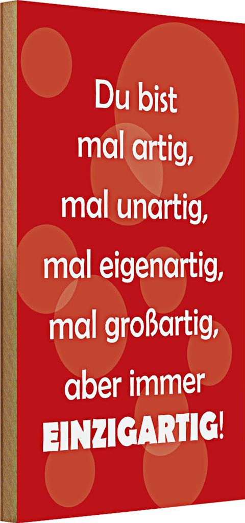 Holzschild Spruch 20x30cm Du bist Einzigartig
