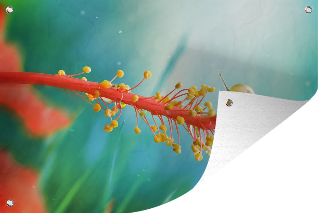 MuchoWow 60x40 cm Outdoor-Poster Gartendeko Sichtschutz Garten Poster für den Garten Schnecke auf Pflanze