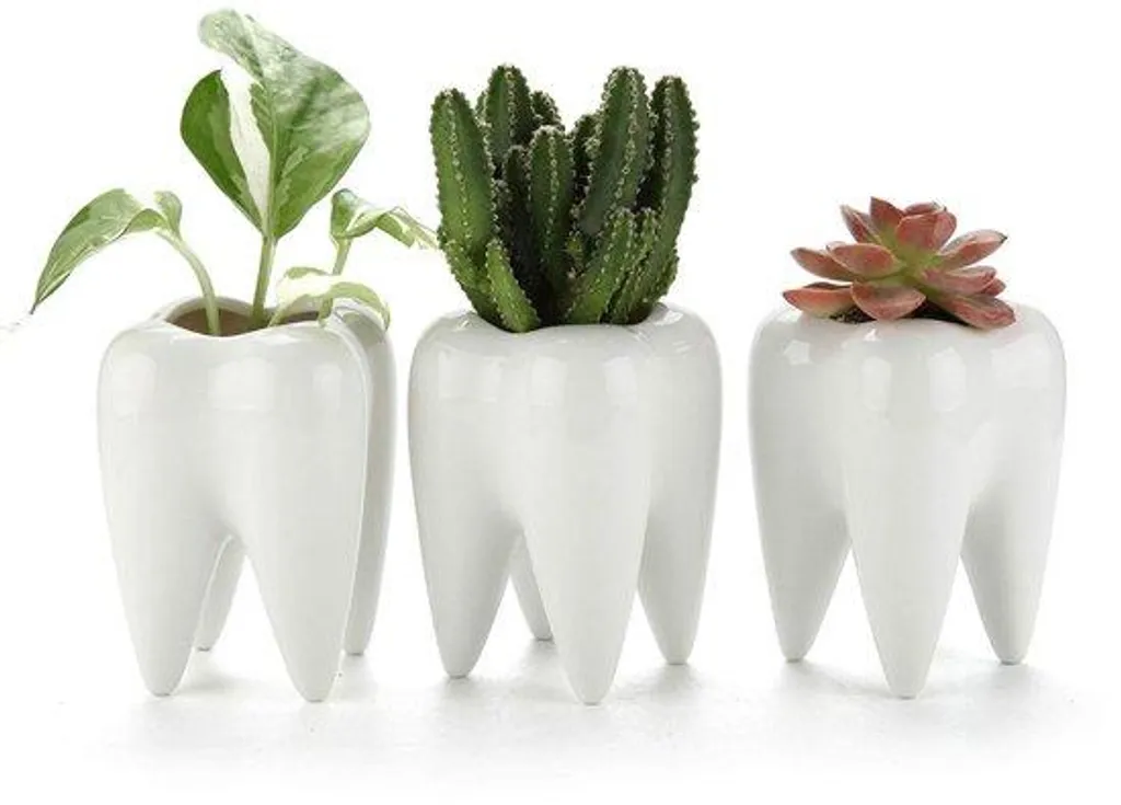 Mini pots de fleurs blancs en céramique pour petits espaces Lot de 3