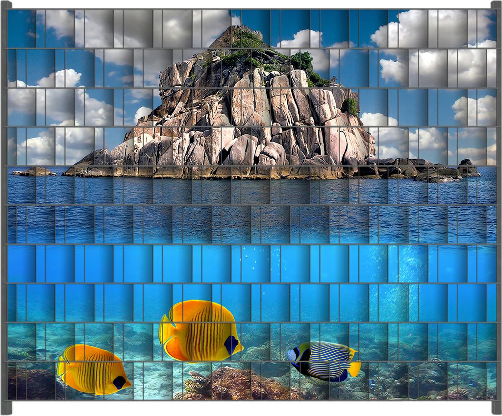 Wallario Zaunsichtschutz mit Motiv Exotische Fische im Meer für Ein- und Doppelstabmatten Zäune in der Größe 250 x 200 cm