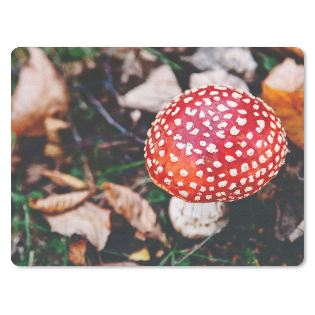 MuchoWow Mauspad Mousepad Herbst - Pilz - Blätter - Natur 23x19 cm - Mousepads - Maus Mat - Pad - Mausunterlage - Schreibtischunterlage - Mauspad