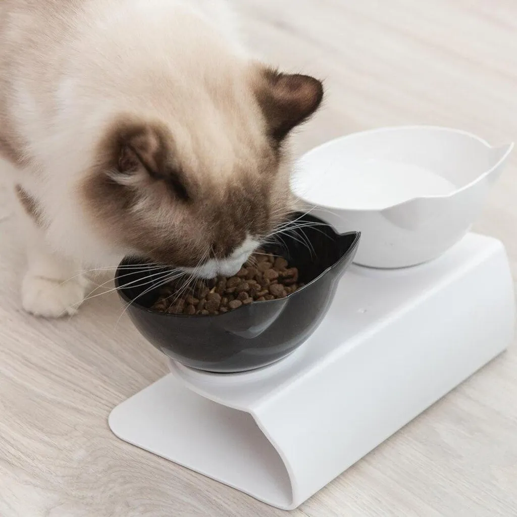 Gamelles ergonomiques chat contre douleurs de cou et reflux acide - 3