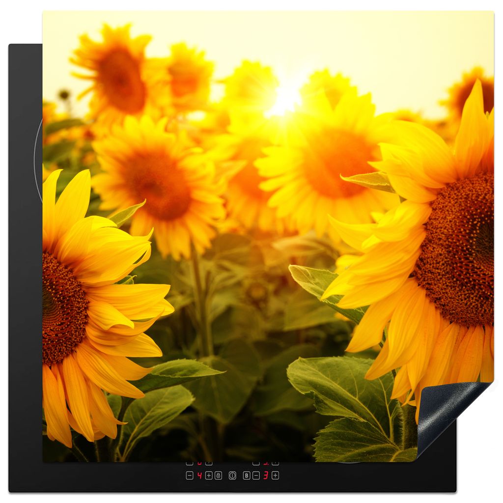 KitchenYeah Herdabdeckplatte Sonnenblume - Gelb - Blumen - Sonne , 78x78cm, Küche Deko, Glaskeramikkochfeld Herdabdeckung, Abdeckplatte fùr Koc...