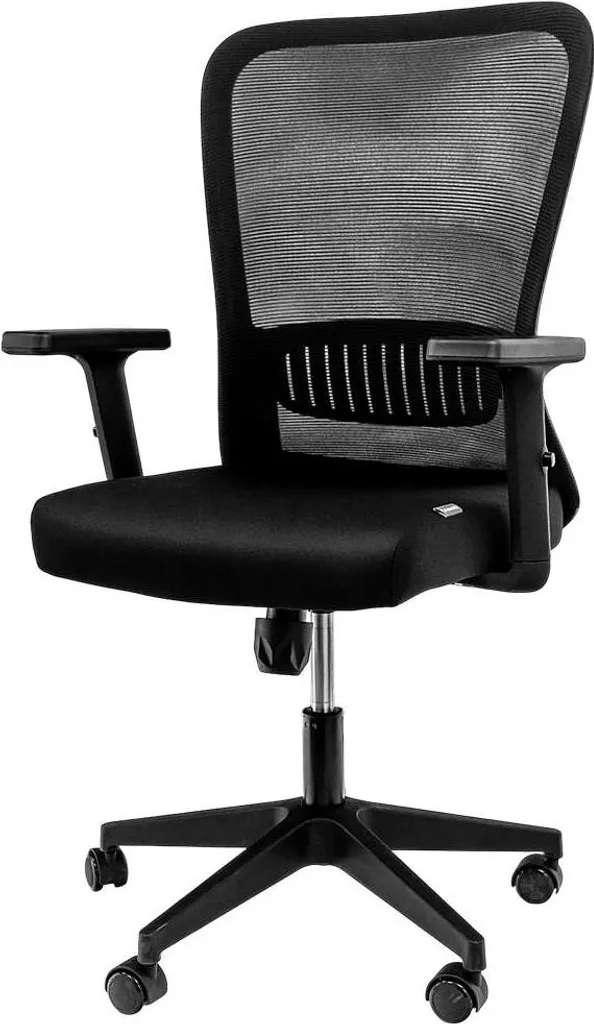 Siège ergonomique télétravail Furvero Norma - Noir, Accoudoirs Lombaire