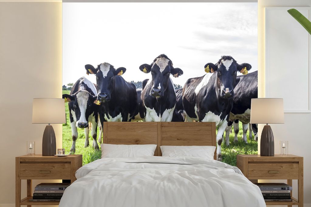 MuchoWow Fototapete für Wohnzimmer oder Schlafzimmer Wandtapete Vinyl Motivtapete Kühe - Licht - Frühling - 260x260 cm - Papiertapeten