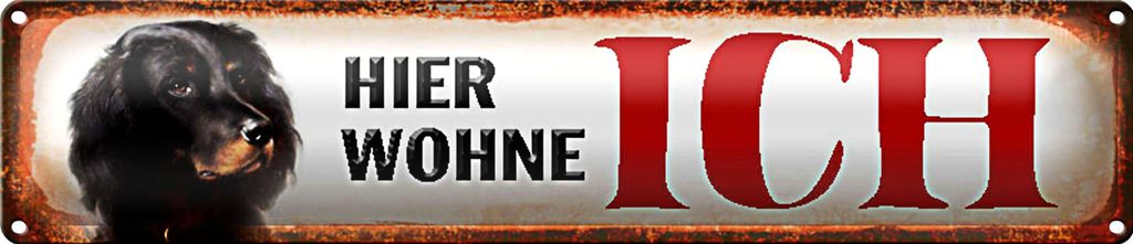 Blechschild Straßenschild 46x10cm Spaniel Hund hier wohne Dekoration