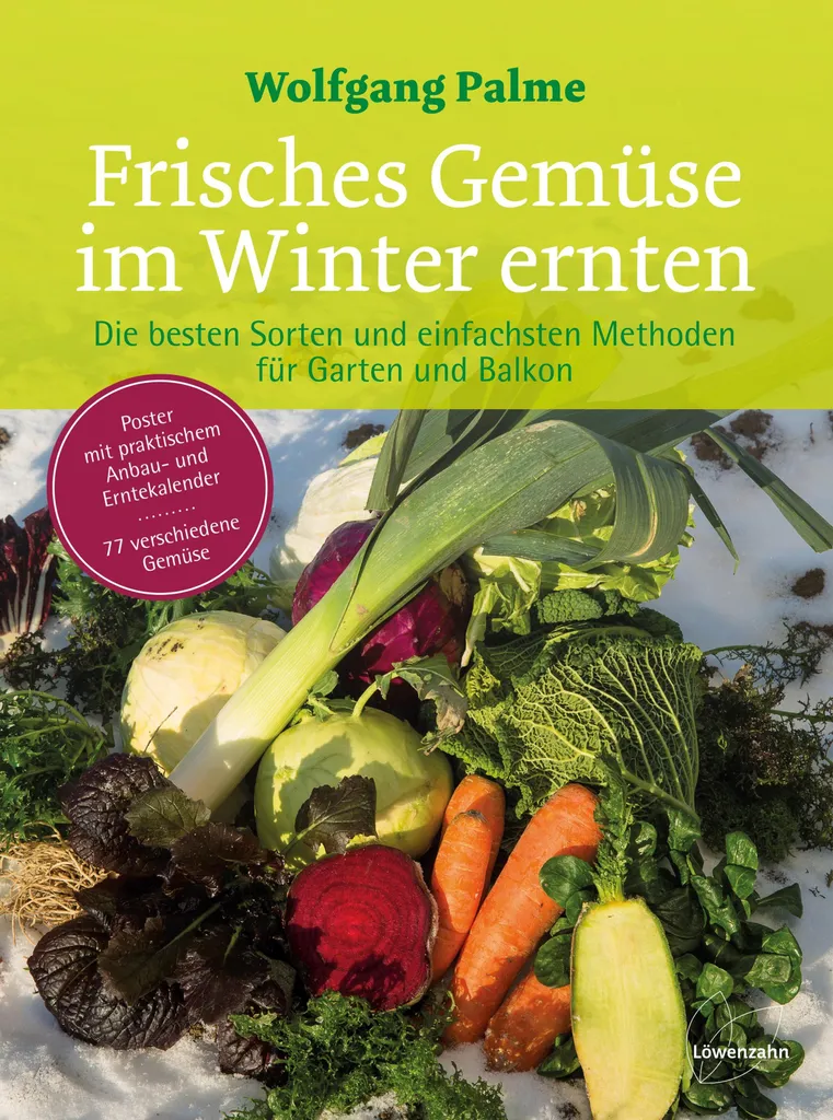 Légumes d'hiver à croissance lente pour récolte sous la neige au jardin