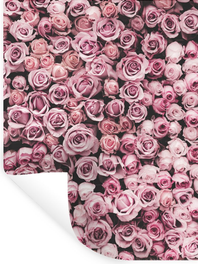 MuchoWow Wandtattoo Wandsticker Wandaufkleber Blumen - Rosen - Natur - Rosa - Botanisch 30x40 cm Selbstklebend und Repositionierbar - Sticker - D...