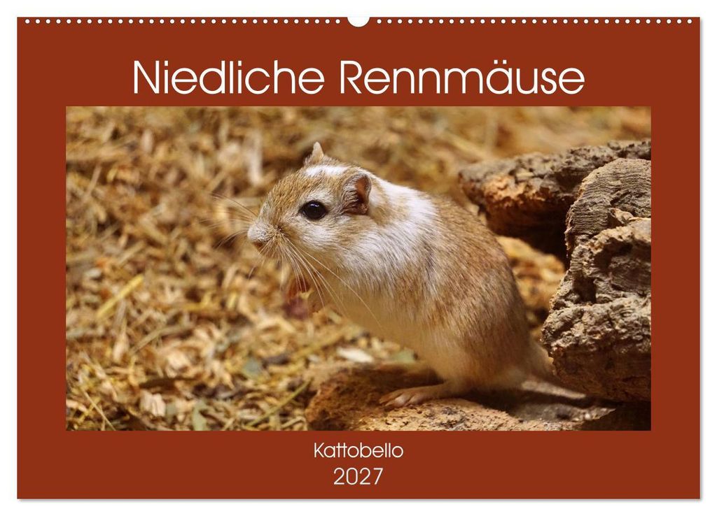 Niedliche Rennmäuse (Wandkalender 2027 DIN A2 quer), CALVENDO Monatskalender
