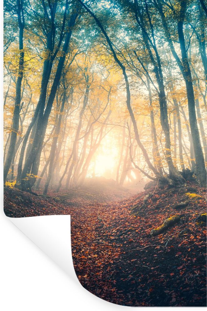 MuchoWow Wandtattoo Wandsticker Wandaufkleber Wald - Nebel - Sonne - Herbst 60x90 cm Selbstklebend und Repositionierbar - Sticker - Dekorfolie