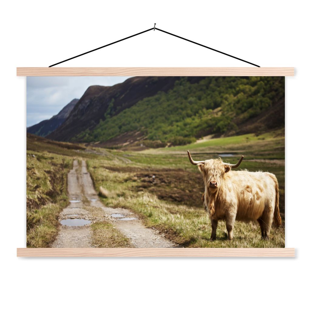 MuchoWow Textilposter Schottische Highlander - Pfad - Wald 60x40 cm mit holzfarbenen Rahmen - Bilder