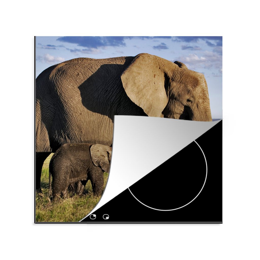 KitchenYeah Herdabdeckplatte Elefant - Tiere - Grasland - Grün - Grau , 78x78cm, Küche Deko, Glaskeramikkochfeld Herdabdeckung, Abdeckplatte f...
