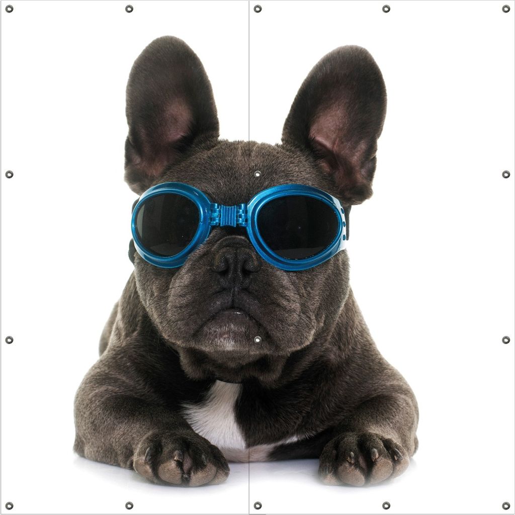 Wallario Outdoor-Poster für Garten oder Balkon, Motiv Cooler Hund mit Sonnenbrille in blau - Französische Bulldogge, in ca. 180 x 180 cm