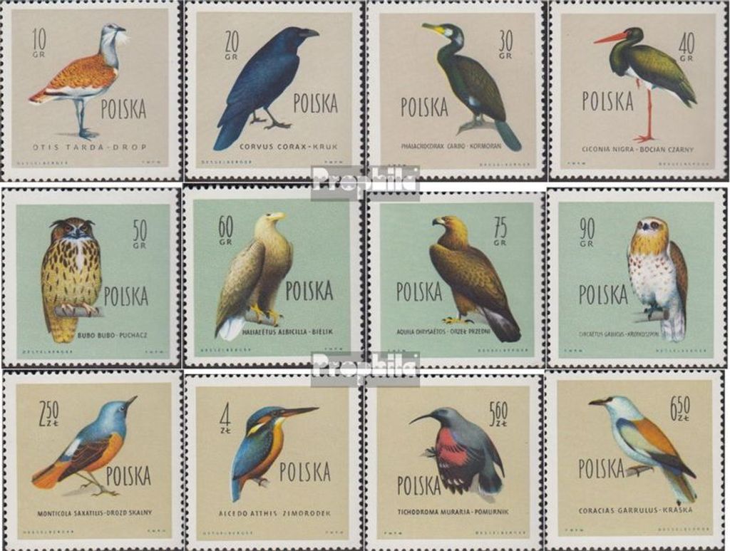 Briefmarken Polen 1960 Mi 1197-1208 (kompl.Ausg.) gestempelt Geschützte Vögel Polens