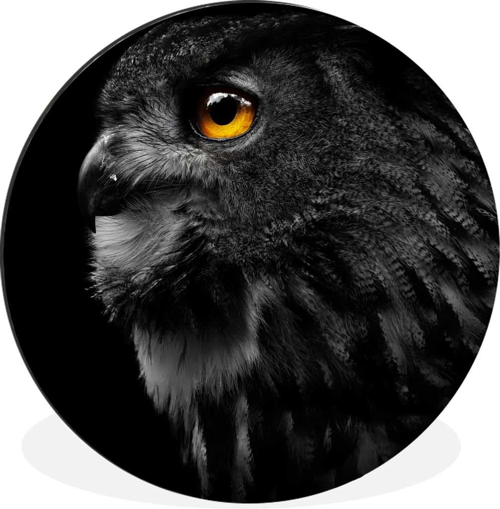 MuchoWow Aluminium Wandkreis Eule - Vogel - Schwarz - Porträt Ø 90 cm Wanddeko Modern Wohnzimmer - Mauerkreis - Wandbilder - Runde Bild - Bild ...