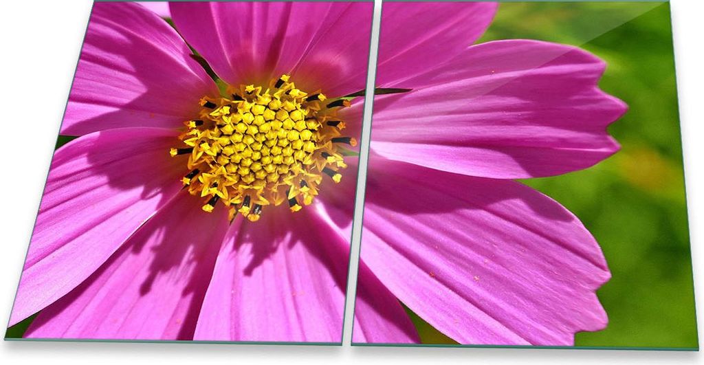 Herdabdeckplatte Glaskeramik 2-Teilig 2x40x52 Blumen Pink Abdeckung Spritzschutz Glas