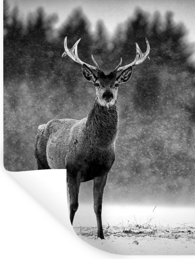 MuchoWow Wandtattoo Wandsticker Wandaufkleber Tiere - Hirsche - Winter - Schwarz - Weiß 90x120 cm Selbstklebend und Repositionierbar - Faltenfrei