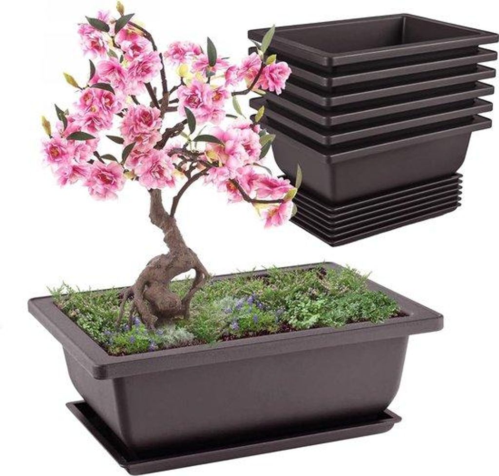 Bonsai-Set aus 6 Schalen für Innen- und Außenbereich