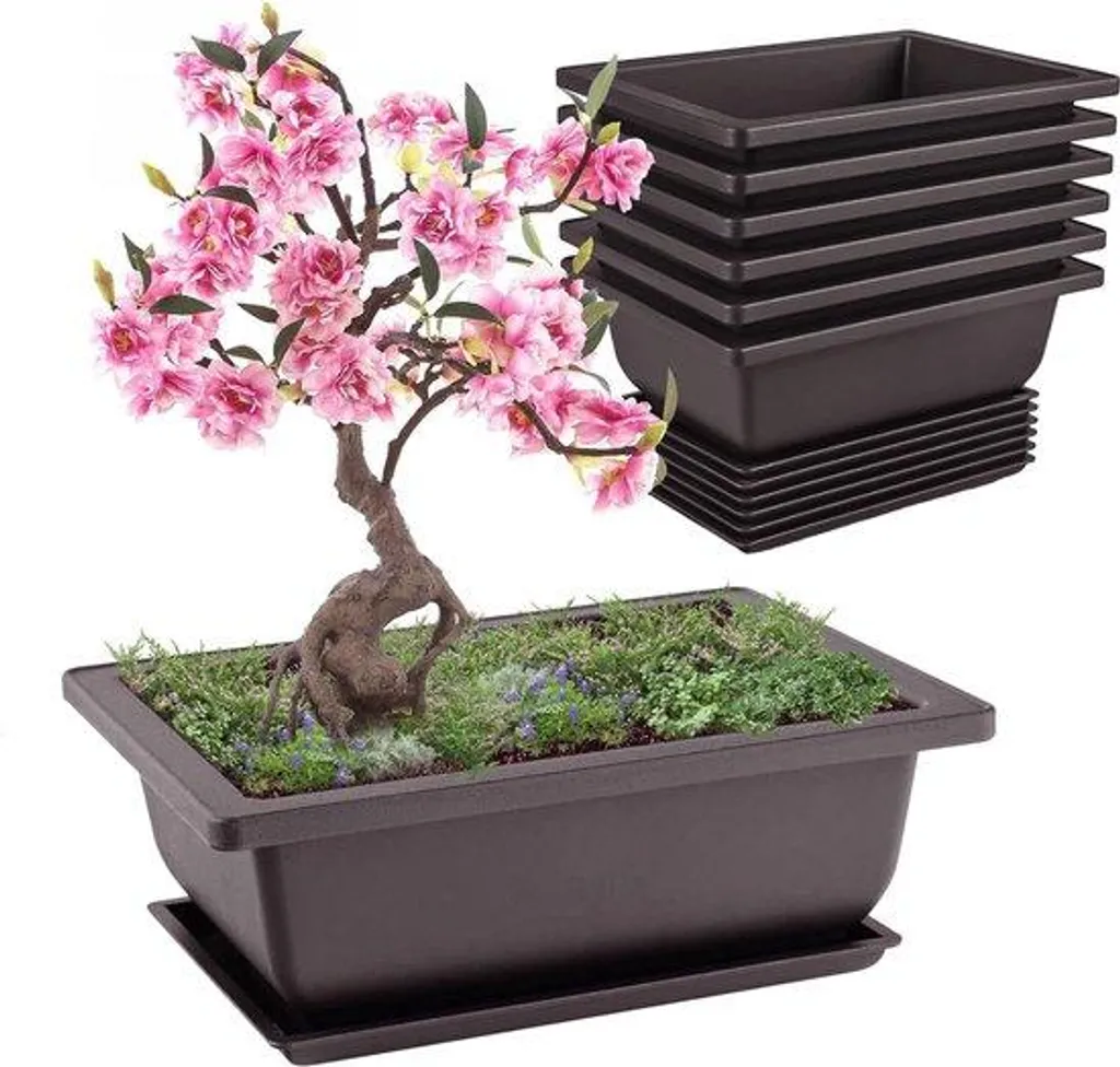 Pots pour bonsaï anti-pourrissement des racines avec drainage lot