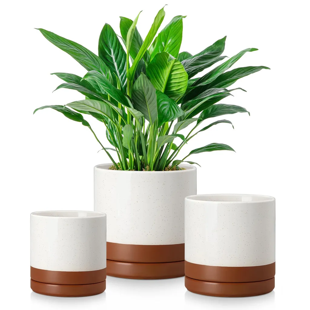 Set de 3 petits pots de fleurs ronds en terre cuite avec coupelles déco