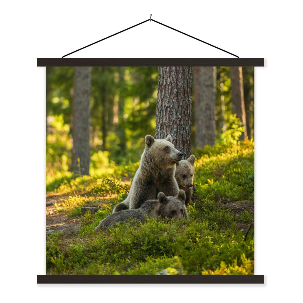 MuchoWow Textilposter Bär - Braun - Wald 120x120 cm mit schwarzem Rahmen - Aufhängungsset