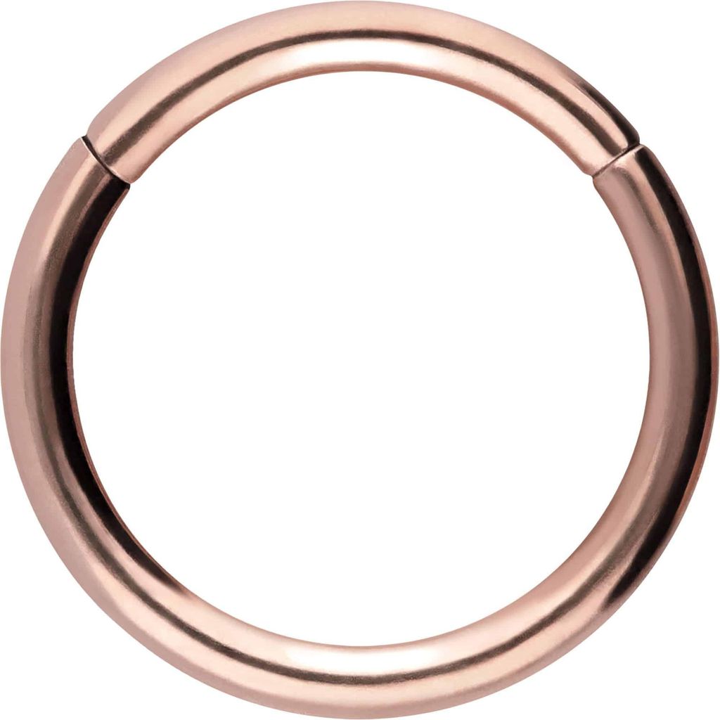 Ohrpiercing, Nasenpiercing, Septum Piercing Chirurgenstahl Segmentring Clicker RoséGold Innendurchmesser: 14mm + Stabstärke: 2mm