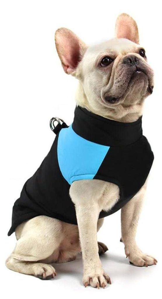 Waschbare wasserdichte Winterweste für Hunde mit Produktbild 
