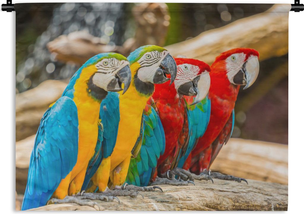 MuchoWow Wandteppich Wandbehang Vögel - Papagei - Tropisch - Natur 120x90 cm Tapisserie Dekoration Wandtuch - Wohnen - Aufhänger für die Wand