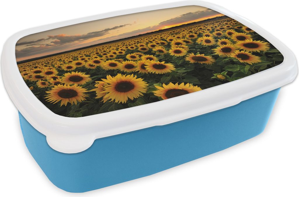 KitchenYeah Lunchbox Brotzeit Brotdose 17x11 cm Sonnenblumen bei Sonnenuntergang Kinder Brotzeitdose - Lunch - Kunststoff - Brotbüchse - Sandwi...