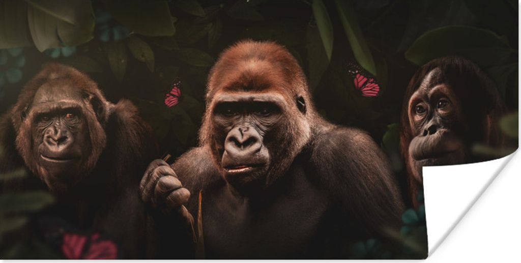 MuchoWow Poster Affe - Dschungel - Pflanzen - Schmetterling 160x80 cm - Foto Poster