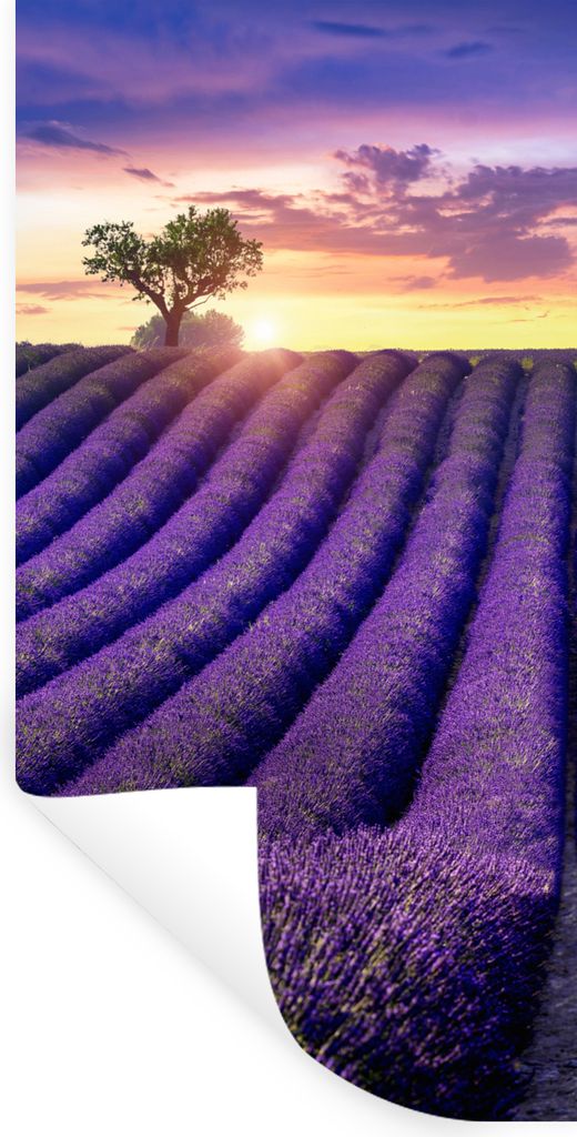 MuchoWow Wandtattoo Wandsticker Wandaufkleber Lavendel - Hügel - Sonnenuntergang - Bpmen - Lila 60x120 cm Selbstklebend und Repositionierbar - S...