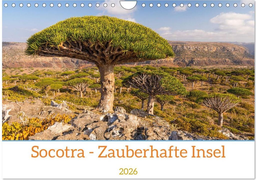 Socotra - Zauberhafte Insel (Wandkalender 2026 DIN A4 quer), CALVENDO Monatskalender