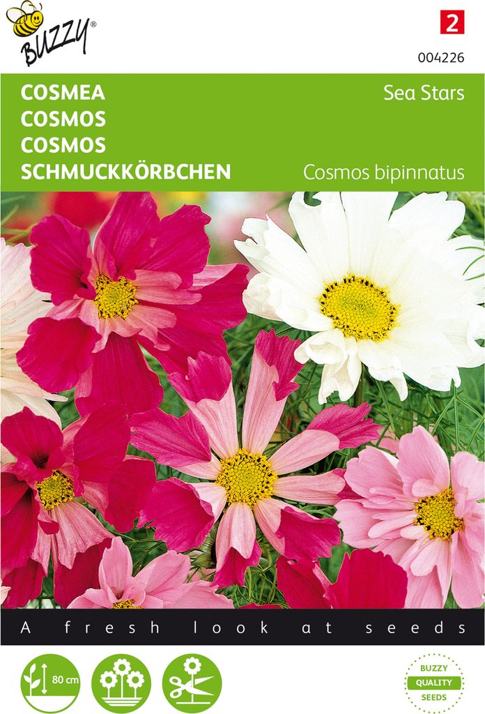 Cosmos Bipinnatus Sea Stars Mischung | Schmuckkörbchensamen von Buzzy Seeds