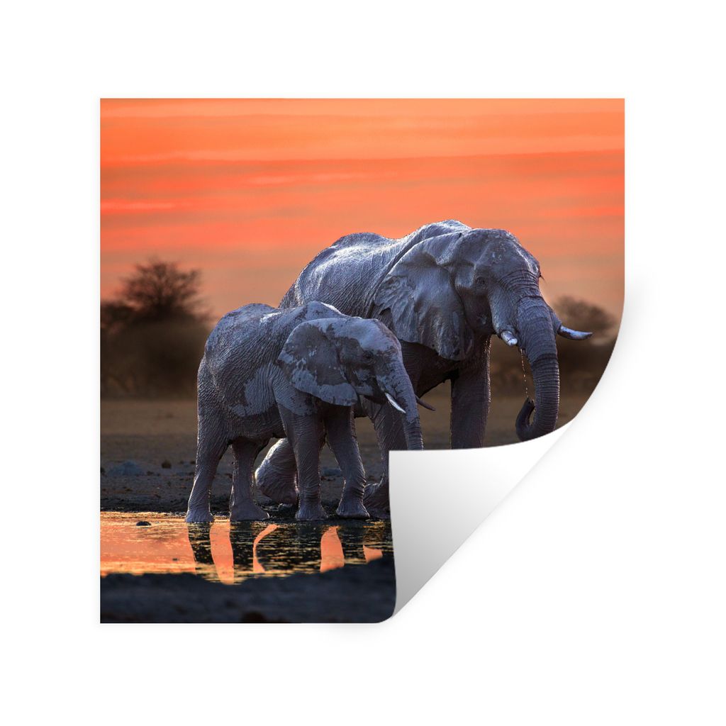 MuchoWow Wandtattoo Wandsticker Wandaufkleber Elefant - Tiere - Sonnenuntergang - Wasser - Orange 50x50 cm Selbstklebend und Repositionierbar - S...