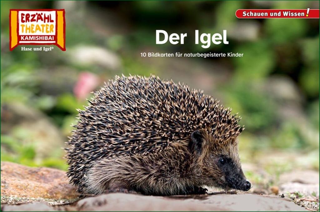 Der Igel / Kamishibai Bildkarten