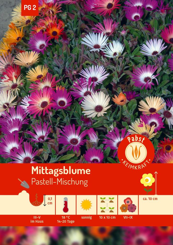 Artikelbild 1 von 'Mittagsblume Pastell-Mischung' aus der Kategorie Blumensamenmischung
