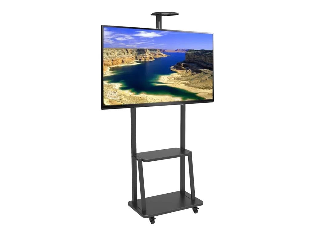 Support écran de signalisation 70" robuste Techly ICA-TR33