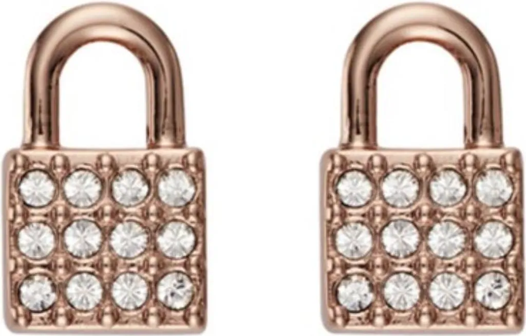 Bijou DKNY 5520121 Accessoire de Soirée et Bureau Style Argenté Pur