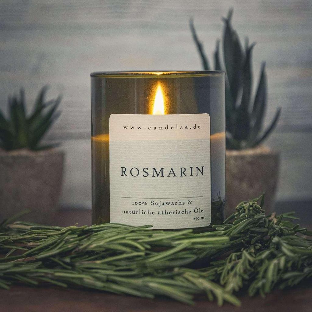 Rosmarin Duftkerze Handgefertigte Sojawachskerze 250ml Kräuterfrischer Duft