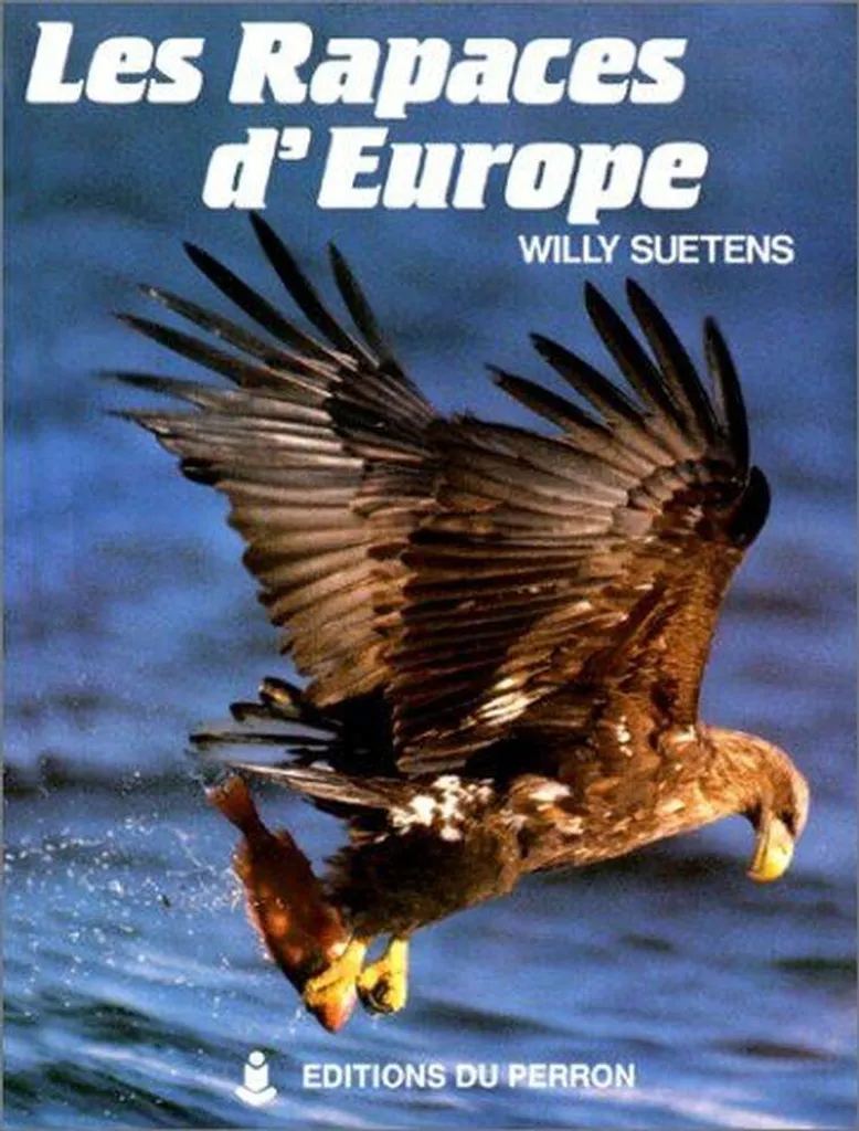 Ne confondez plus Les Rapaces d'Europe grâce à cette méthode visuelle