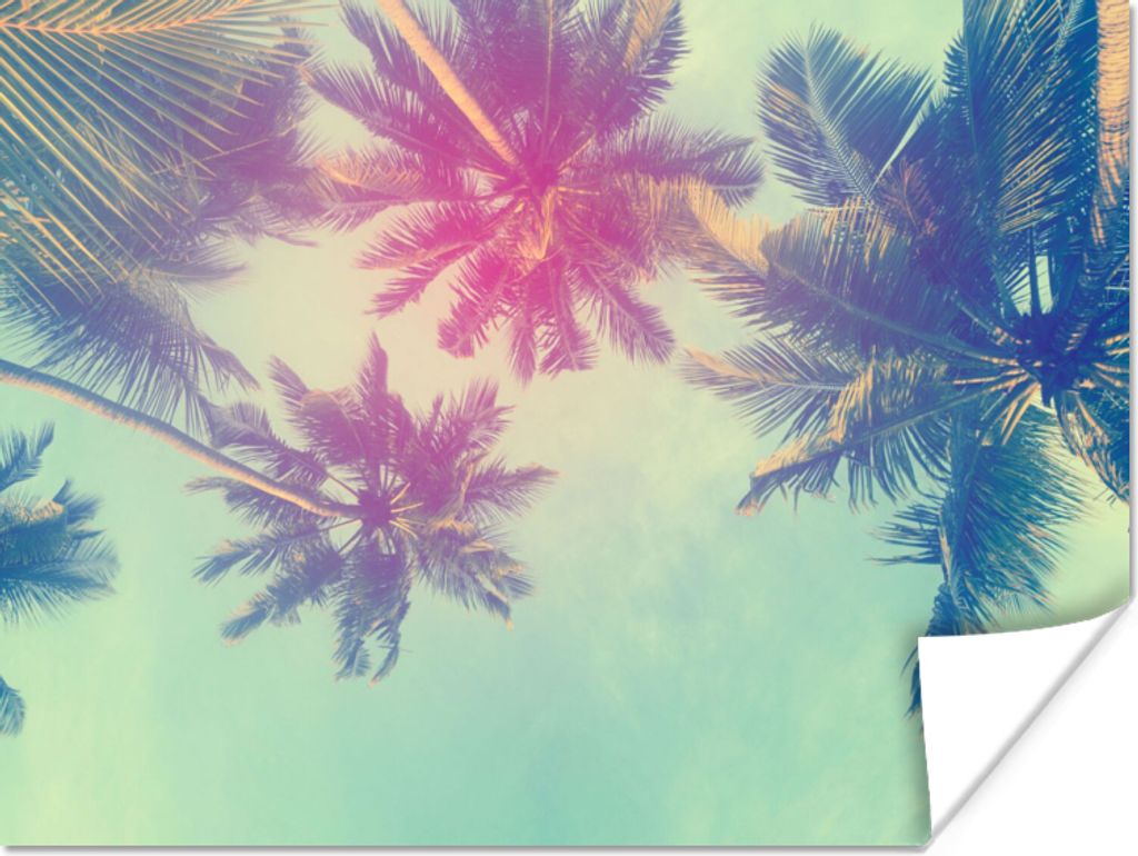 MuchoWow Poster Palmen - Palmenblätter - Sommer - Tropisch 160x120 cm - Foto Plakat