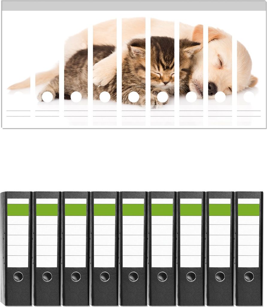Wallario 9 Stück breite Ordner inkl. Klebeetiketten mit Motive Katze und Hund in Harmonie - Kuschelnde Tiere - Set mit Rückenschildern / Ordnerr...