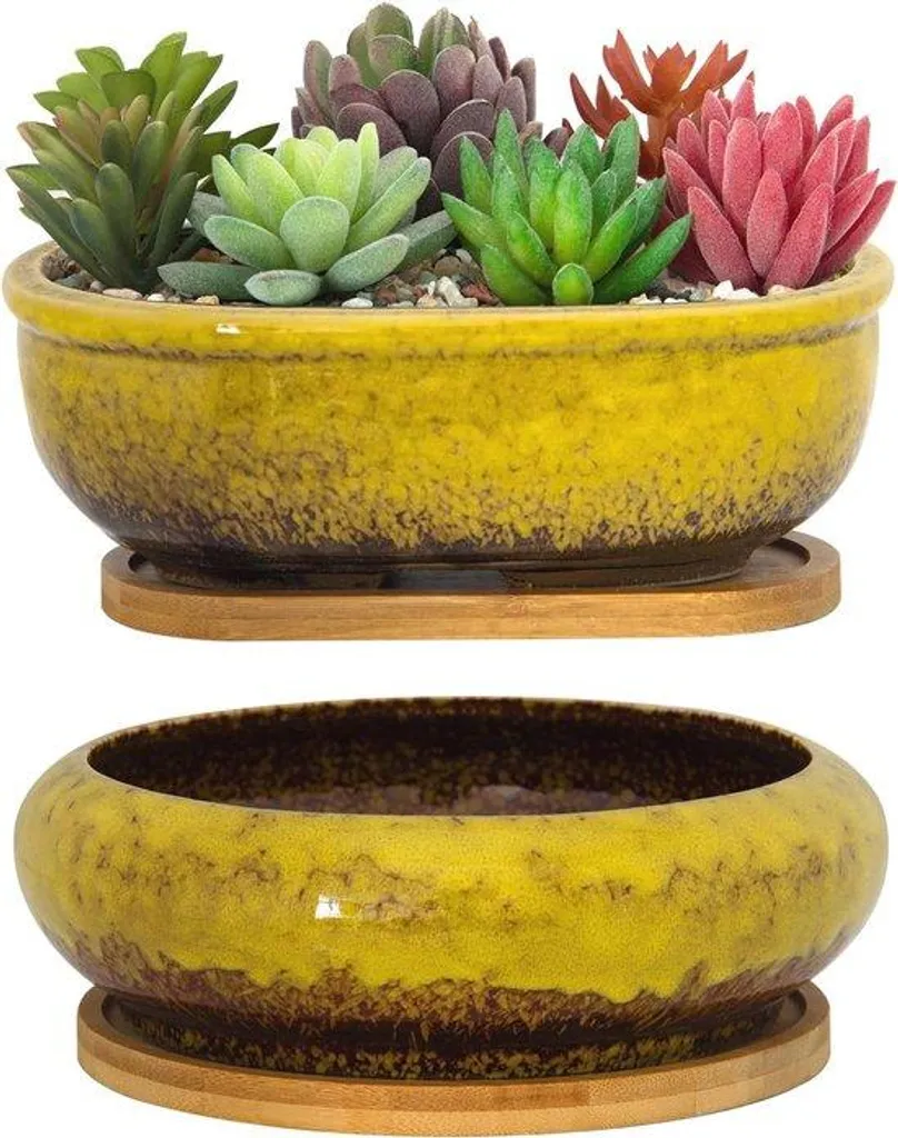 Lot de pots de fleurs intérieur en céramique pour cactus et bonsaïs
