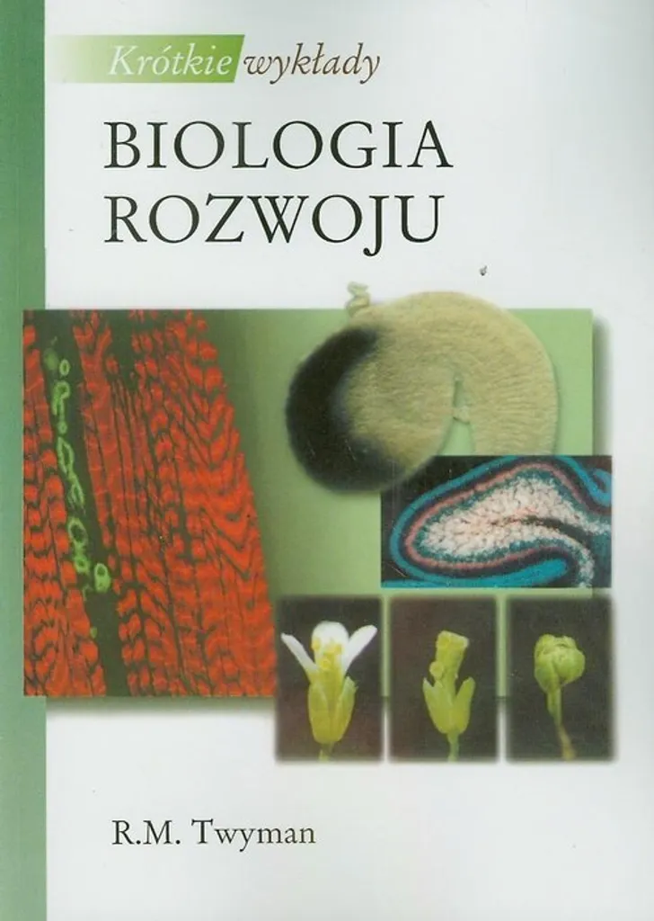 Biologie du développement : synthèses et schémas pour mémorisation rapide