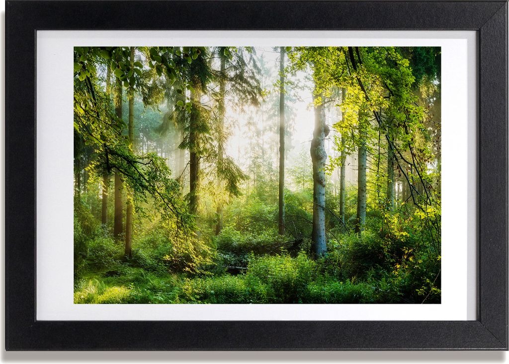 Bild 30x20 MDF-Rahmen, Wandkunst Die Morgensonne Wald