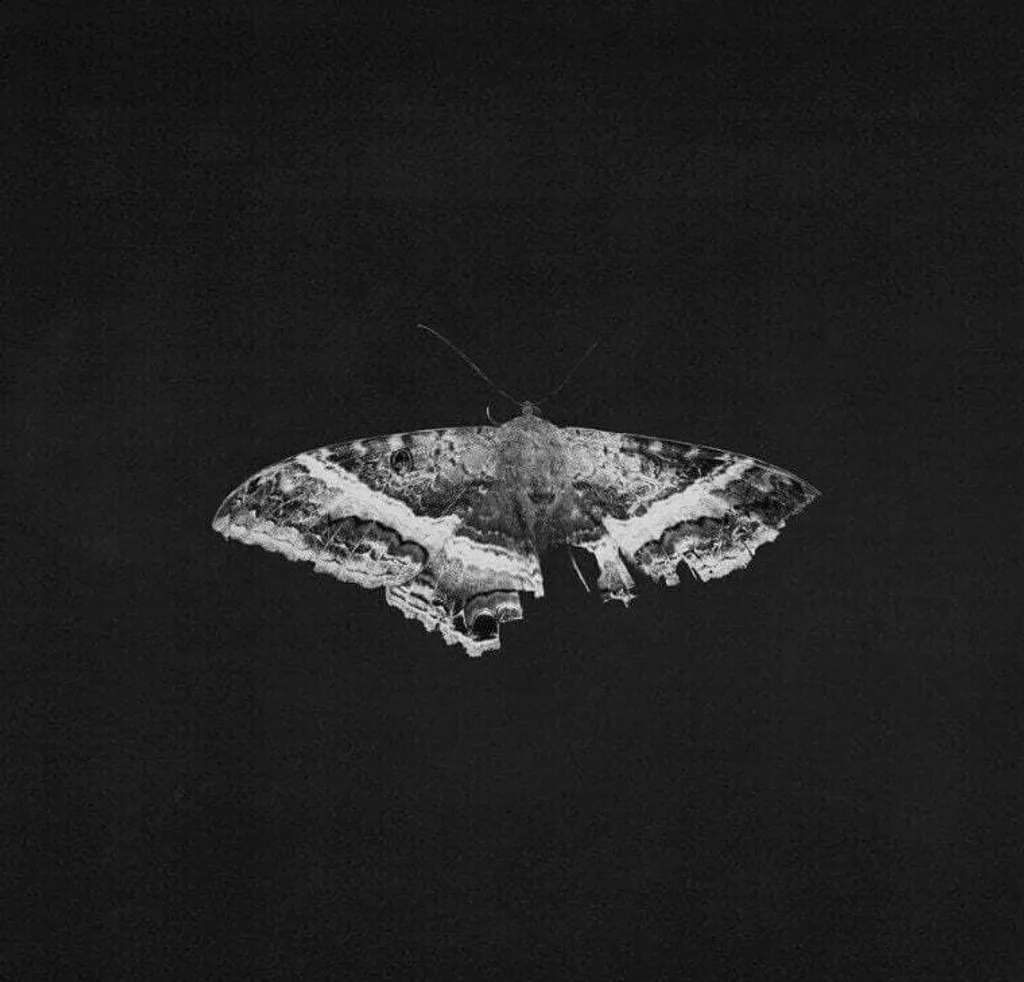 Vinyle Kendrick Lamar To Pimp A Butterfly pour Platine 180 g Double Album