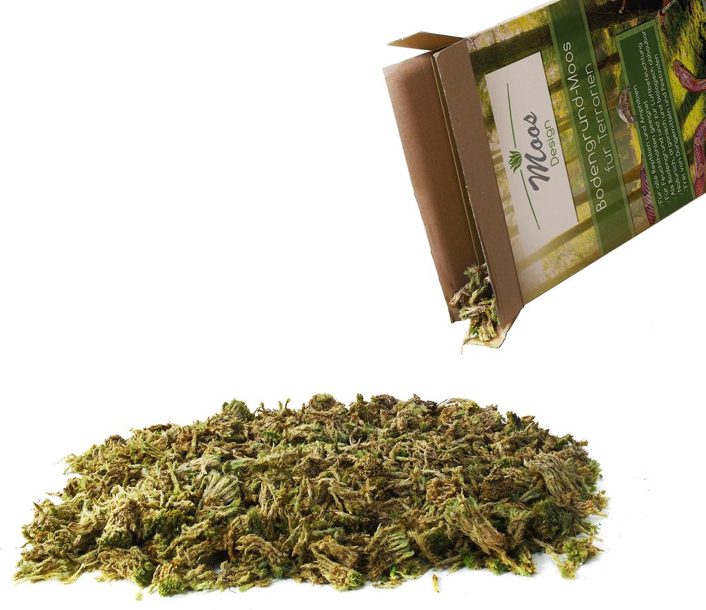 Terrarium Bodengrund Einstreu (125g)